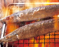海鮮居酒屋 はなの舞 清瀬南口店 