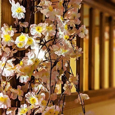 完全個室居酒屋 栞 しおり 水道橋駅前店 水道橋 居酒屋 ぐるなび