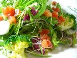 緑たっぷり　こだわり野菜のミックスサラダ　“ヴェルデ”