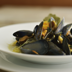 オステルリー スズキ 