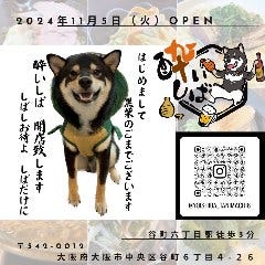 春巻きとよだれ鶏 酔いしば 谷町六丁目