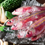 直送される鮮度抜群の沖縄県魚“グルクン”