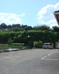 花川 岩出 紀の川 橋本 焼肉 ぐるなび