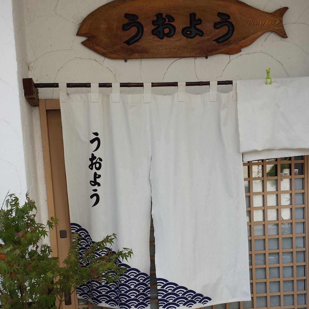うおよう