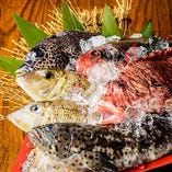 日本料理の職人が厳選！
近海のいまいゆ、店内水槽からあげる活魚をお届け