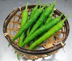 入船伊東駅前店の画像