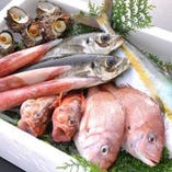 厳しく目利きした九州から直送される新鮮な季節の魚【鹿児島県】