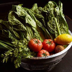 旨唐揚げと居酒メシ ミライザカ ルルサス防府店_ミライザカでは野菜の栽培から収穫まで携わり、美味しい野菜をご提供しています。