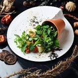 ”野菜畑風”彩り野菜の冷製バーニャカウダ