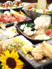 鉄板ダイニング 向日葵 