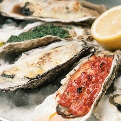 Oyster Bar SALT MODERATE