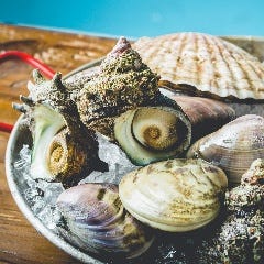 その他にも沢山の海産物を用意してます。宴会でも召し上がれます