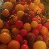 静岡河原崎農園のこだわりトマト