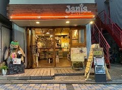 Janis SDP 