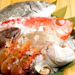 旬魚のお刺身は料理長が目利きた季節の新鮮な魚を使用
