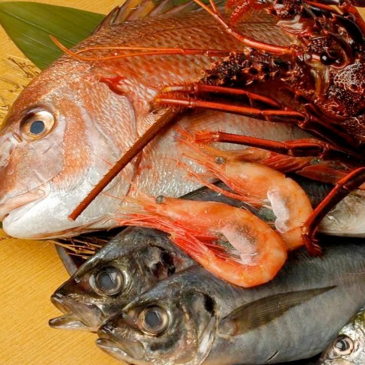 毎朝、新鮮な魚が豊洲市場より直送！