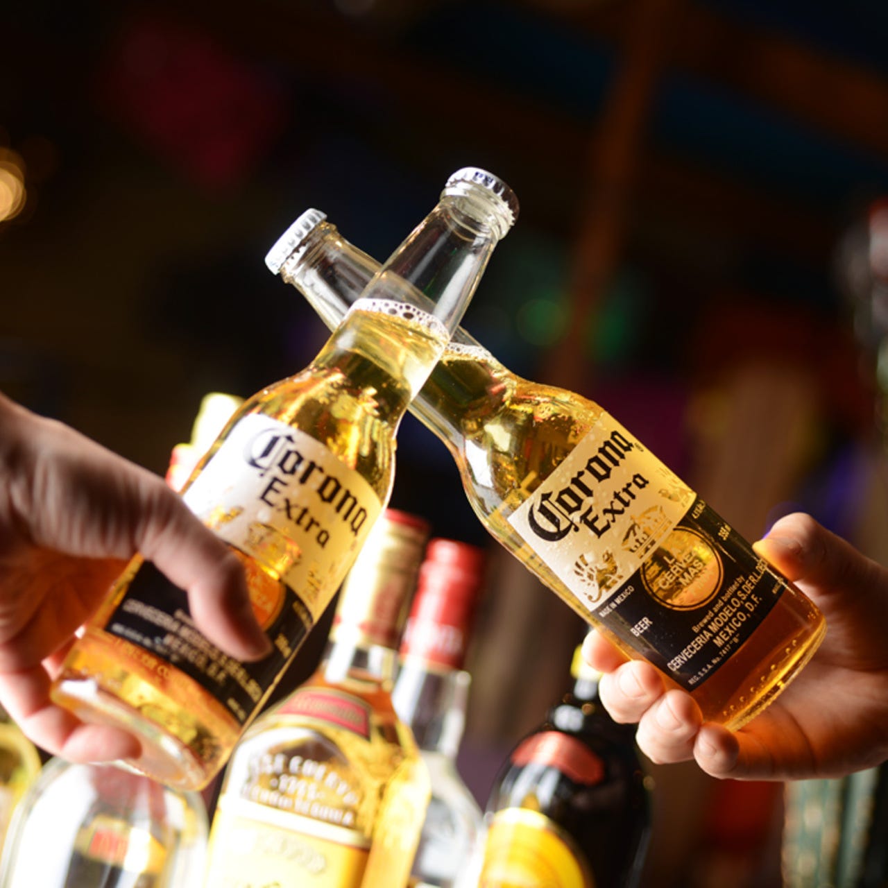 メキシコ酒場 サンズ ダイナー 本八幡店 コース 2時間飲み放題付 メキシカンコース 全7品 4 000円 税別 月 木は３時間飲み放題 ぐるなび