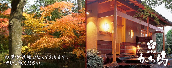 かわ嶋