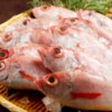 ◆鮮度抜群◎豊洲仕入の美味しい魚