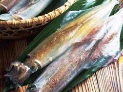 旬のイカの姿造りは後造り付き　玄海の釣りもんです。