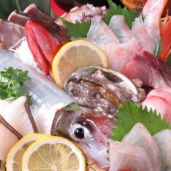 朝〆イカの姿造り・アワビと夏の天然魚で豪華あっぱれ盛