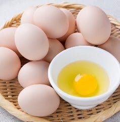 北海道焼鳥 いただきコッコちゃん 浦和店 浦和 居酒屋 ぐるなび 北海道焼鳥 いただきコッコちゃん 浦和店 浦和 居酒屋 ぐるなび