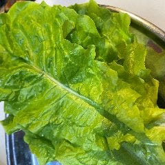 炭火焼肉 衛門 メニュー 逸品メニュー ぐるなび