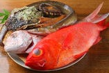 【新鮮なお魚を】季節に合わせて、お料理を幅広くご提供。