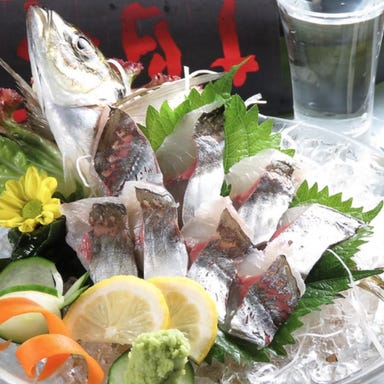 広島酒呑童子 (ひろしましゅてんどうじ)_活アジ刺