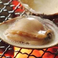 貝炉端焼もオススメ!