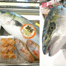 旬の鮮魚を毎日市場から直送