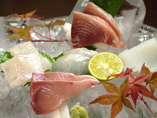 だいがく 垂水 和食 ぐるなび