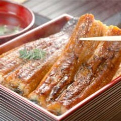 全席完全個室 旬菜旬魚きくの 高槻 高槻 会席料理 ぐるなび