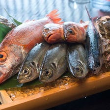 金沢港から毎朝仕入れる朝獲れ鮮魚