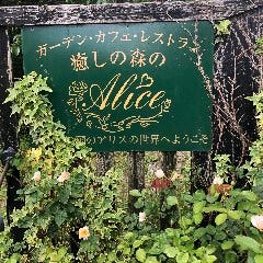 癒しの森のガーデンカフェレストランAlice