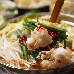 九州料理をコースでお得に堪能！各種ご宴会に是非ご利用ください
