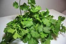 ［シンガポール料理］カフェ シンガプーラの画像