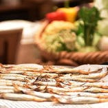 ハタハタの干物【国内】