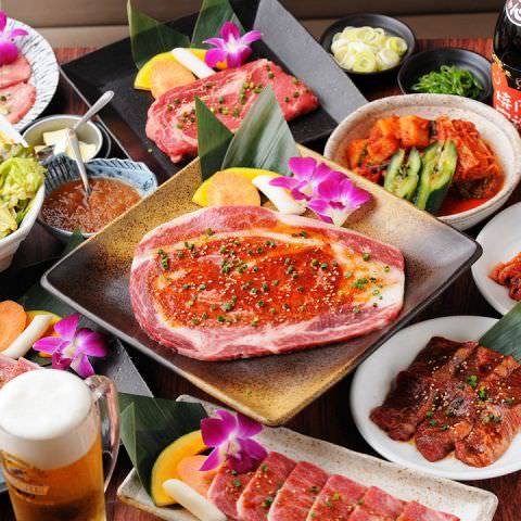 焼肉苑 市川店 市川 居酒屋 ぐるなび