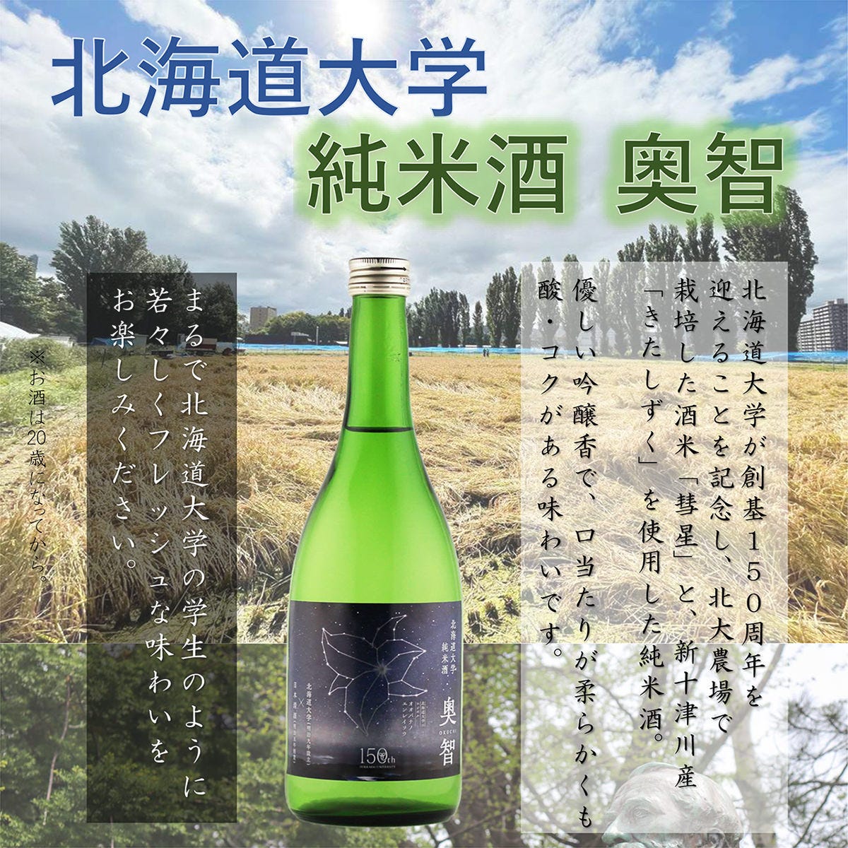 半額セール  値下げしました趙舒春 九塞水鳴 3055番 半額セール 値下げしました趙舒春 九塞水鳴 3055番