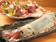 日本橋イカセンター