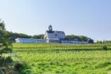 広大なぶどう畑に囲まれたお城のような建物