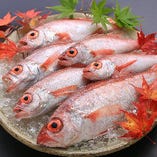 高級魚「のどぐろ」を煮付けや塩焼きで味わえる飲み放題付コース