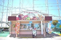 ケバブサンドハウス