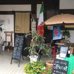 cafe dining apricot