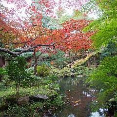 加賀藩ゆかりの名勝・玉泉園の景観美