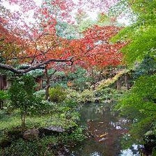 加賀藩ゆかりの名勝・玉泉園の景観美
