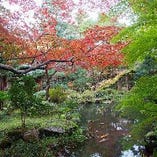 加賀藩ゆかりの武家庭園『玉泉園(ぎょくせんえん)』