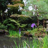 季節の移ろいを感じられる庭園内