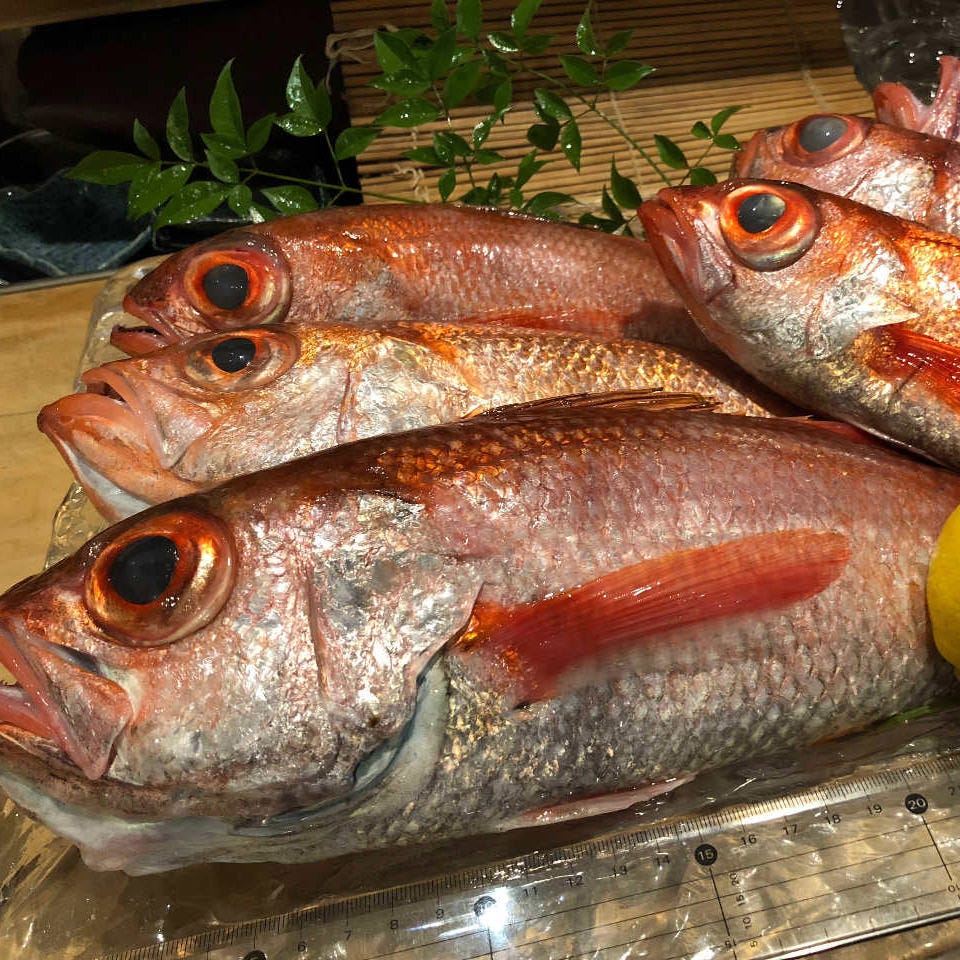 高級魚のど黒を塩焼きor煮付け お刺身などで味わう のど黒コース 全10品12 000円 税抜 の詳細 和窯料理 石関 大宮 日本料理 ぐるなび